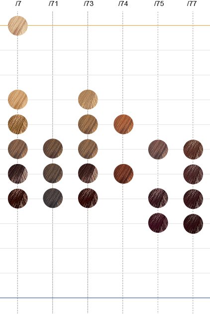 Wella Perfecton Colour Chart