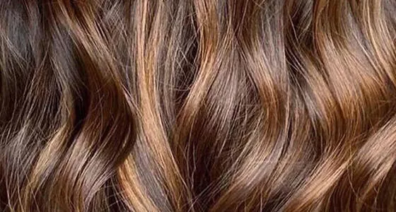 Brown Hair Products & Pro Tips | Wella Professionals