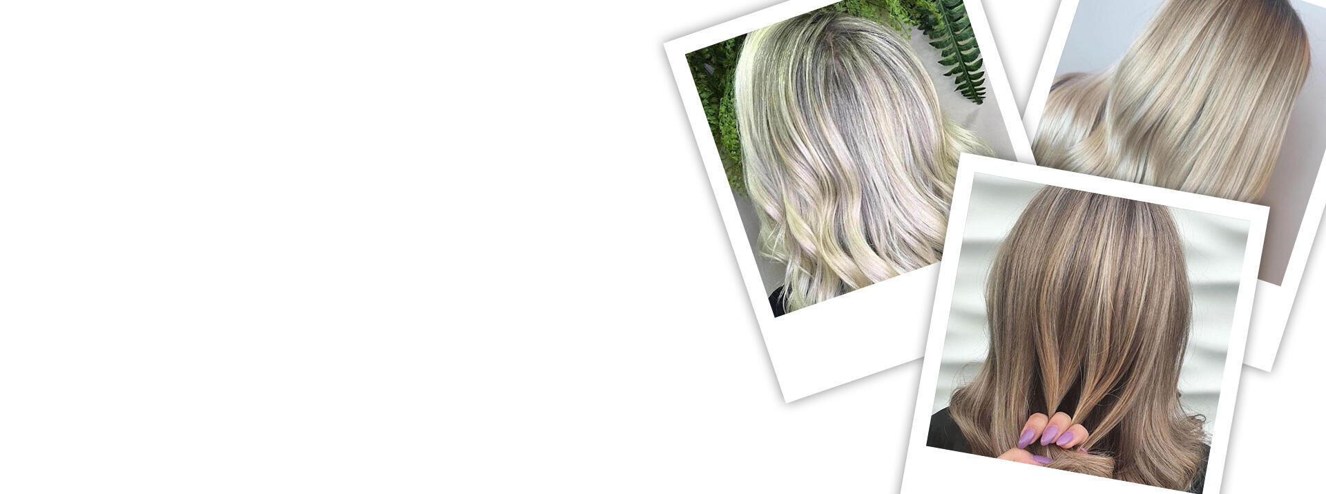 capelli bianchi con meches colorate