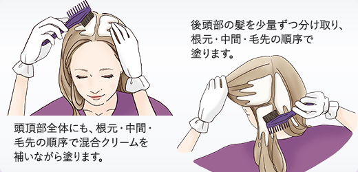 頭頂部全体にも、根元・中間・毛先の順序で混合クリームを補いながら塗ります。後頭部の髪を少量ずつ分け取り、根元・中間・毛先の順序で塗ります。
