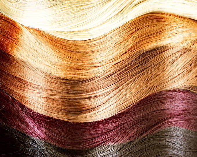 Basics Of Hair Color Levels Tones Wella Com