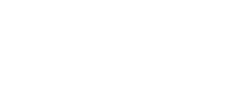 wella deluxe logo