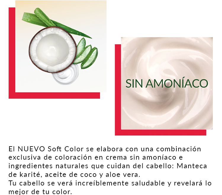 Ingredientes de la fórmula de Wella Soft Color: Manteca de karité, aceite de coco y aloe vera, Sin amoniaco. 