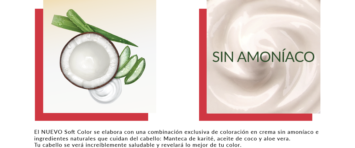 Ingredientes de la fórmula de Wella Soft Color: Manteca de karité, aceite de coco y aloe vera, Sin amoniaco. 