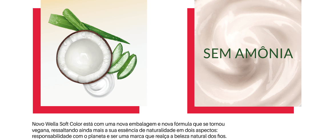 Ingredientes da fórmula da Wella Softcolor: manteiga de karité, óleo de coco e aloe vera, com cópia: Sem amônia. 