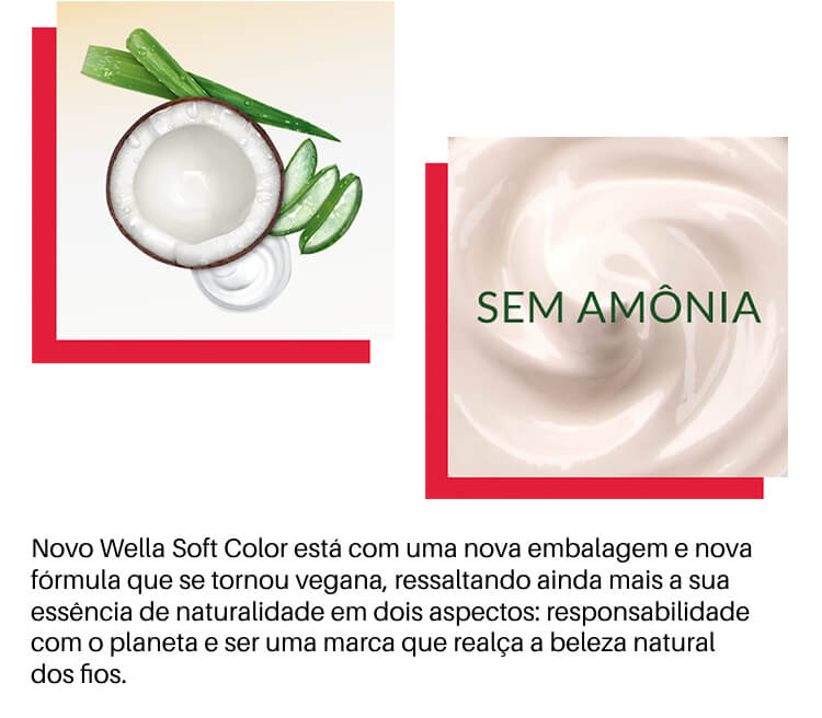 Ingredientes da fórmula da Wella Softcolor: manteiga de karité, óleo de coco e aloe vera, com cópia: Sem amônia. 