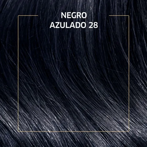 Crema de color permanente 28 Negro Azulado