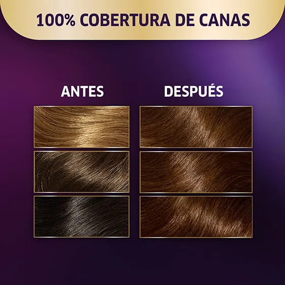 Wella Koleston Coloracion Permanente en Crema, 34 Castaño Oscuro Hipnotico