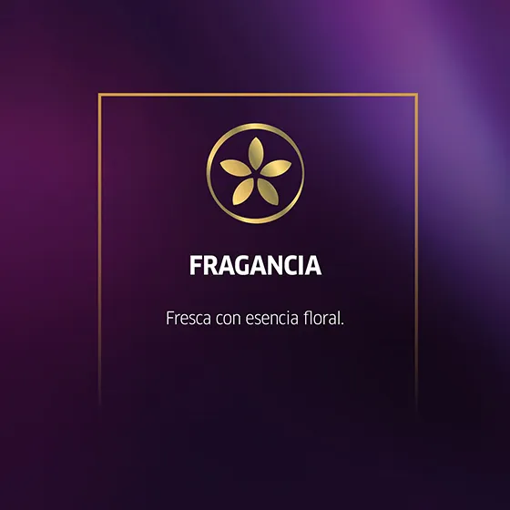 Wella Koleston Coloracion Permanente en Crema, 34 Castaño Oscuro Hipnotico