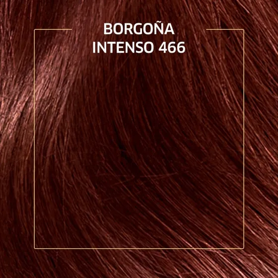 Crema de color permanente 466 Borgoña Intenso