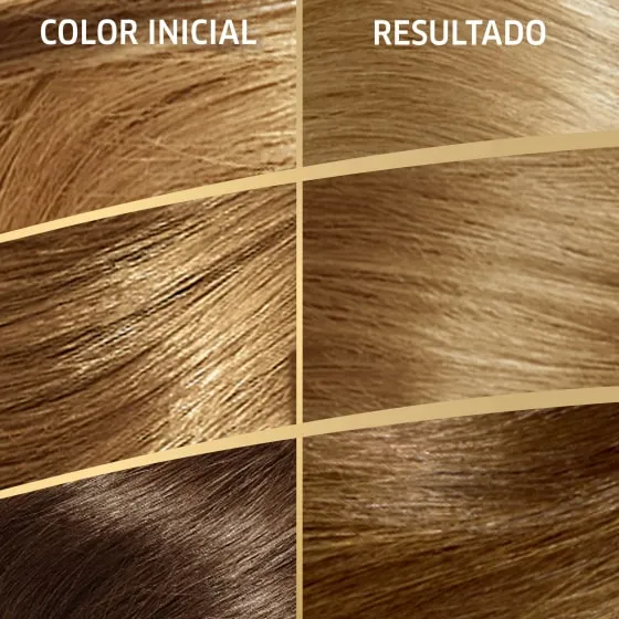 Crema de color permanente 81 Rubio Cenizo Claro