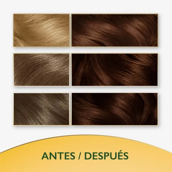 Soft Color 477 Intense Coffee