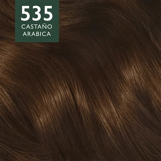 535 CASTAÑO ARÁBICA