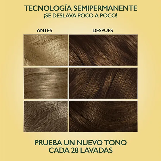 535 CASTAÑO ARÁBICA