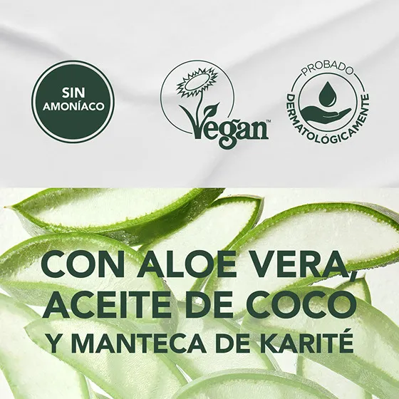 535 CASTAÑO ARÁBICA