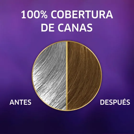 Retoque Raíz 10 - 73 Rubio Avellana