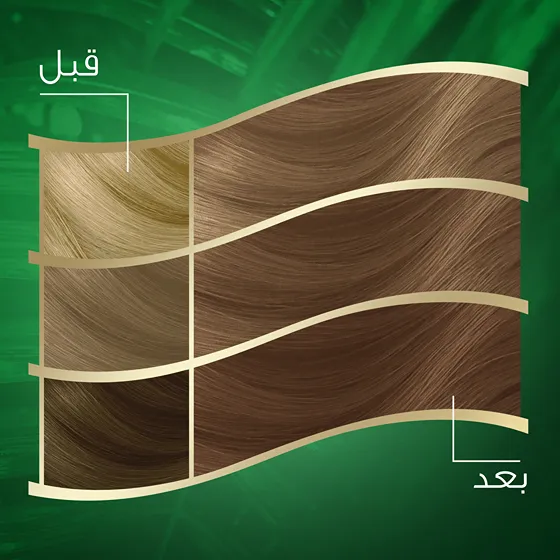 Wella Koleston Naturals - أشقر بندقي 6/0