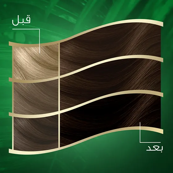 Wella Koleston Naturals - أشقر رمادي غامق 6/1