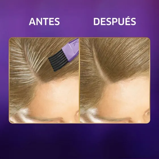 Retoque Raíz 10 - 81 Rubio Cenizo Claro