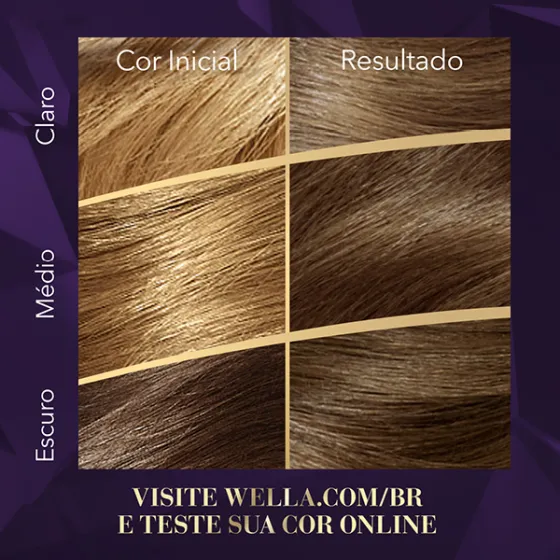 Coloração Creme Louro Cinza 61