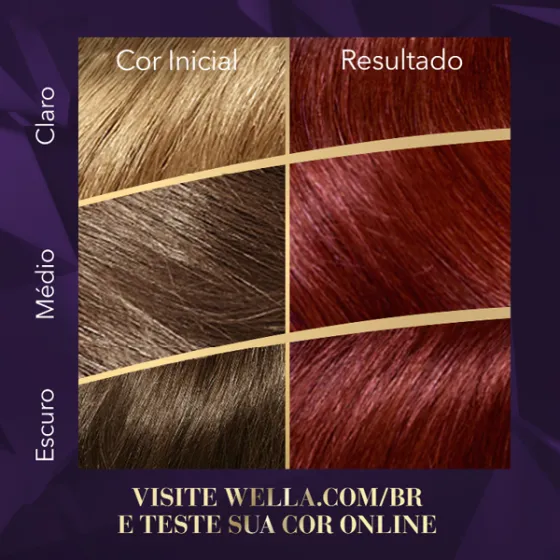 Coloração Creme Amora 5546
