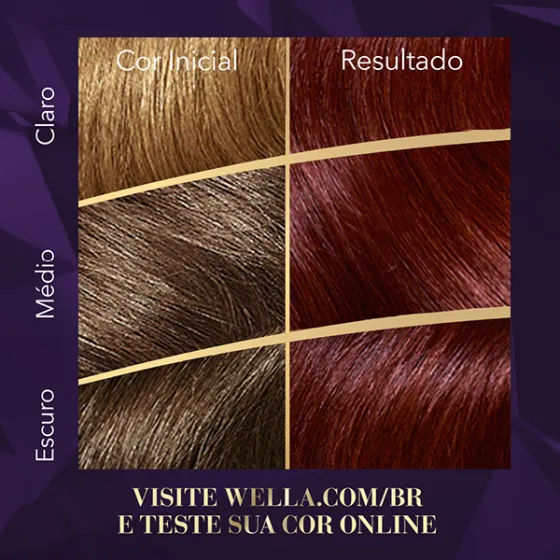 Coloração Creme Borgonha Vibrante 4446