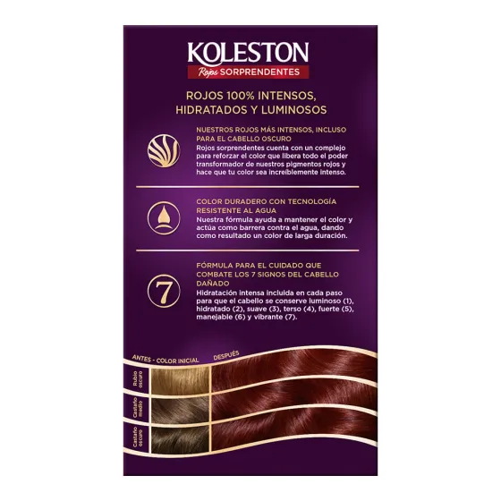 4446 Borgoña Vibrante