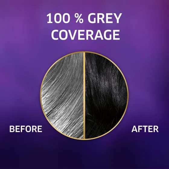 Root Touch Up 10 Permanent Color Cream 20 Blue Black