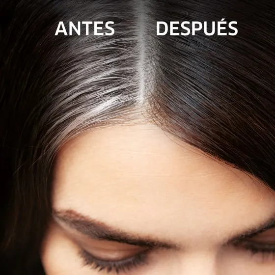 Root Touch Up 3 - Negro