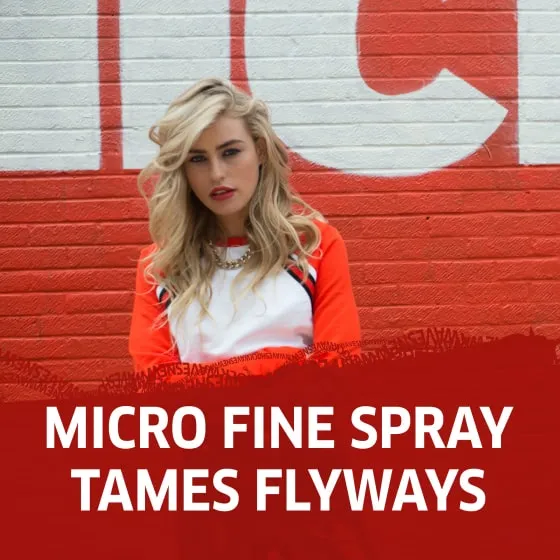 Sleek N' Shine Hairspray 250 ml