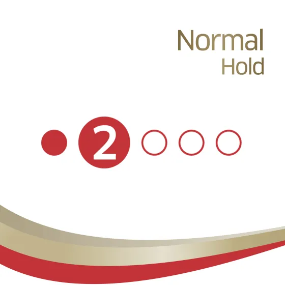 Heat Protection Normal Hold Styling Spray 150 ml