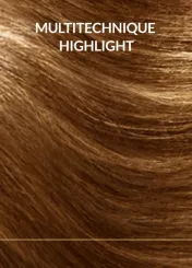 
                        Permanent Hair Color Cream Multi-technique Highlights
            